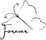 Celebrant Services | Your Forever After Celebrant logo.